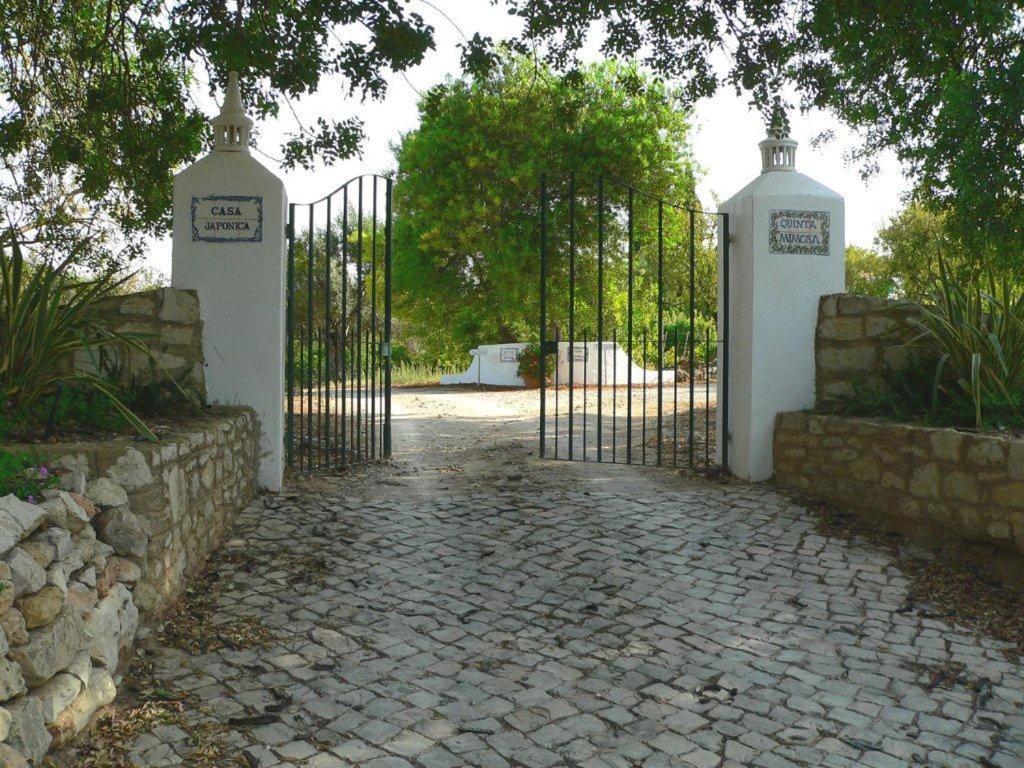 Quinta Mimosa Loulé Exterior foto
