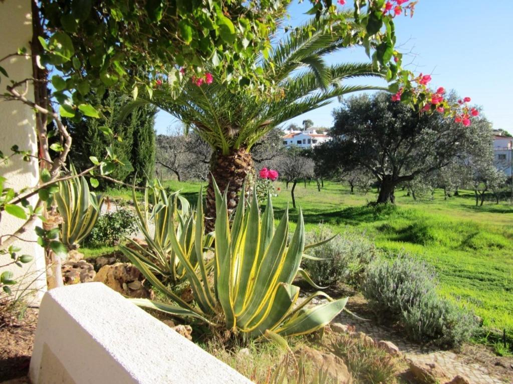 Quinta Mimosa Loulé Quarto foto